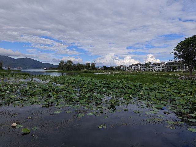 洱海名字的由來