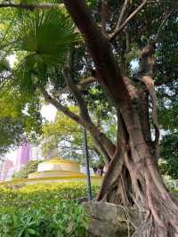 香港出發至澳門螺絲山公園交通攻略 