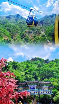 雲頂天宮，人間仙境——老君山，一場與仙境的邂逅