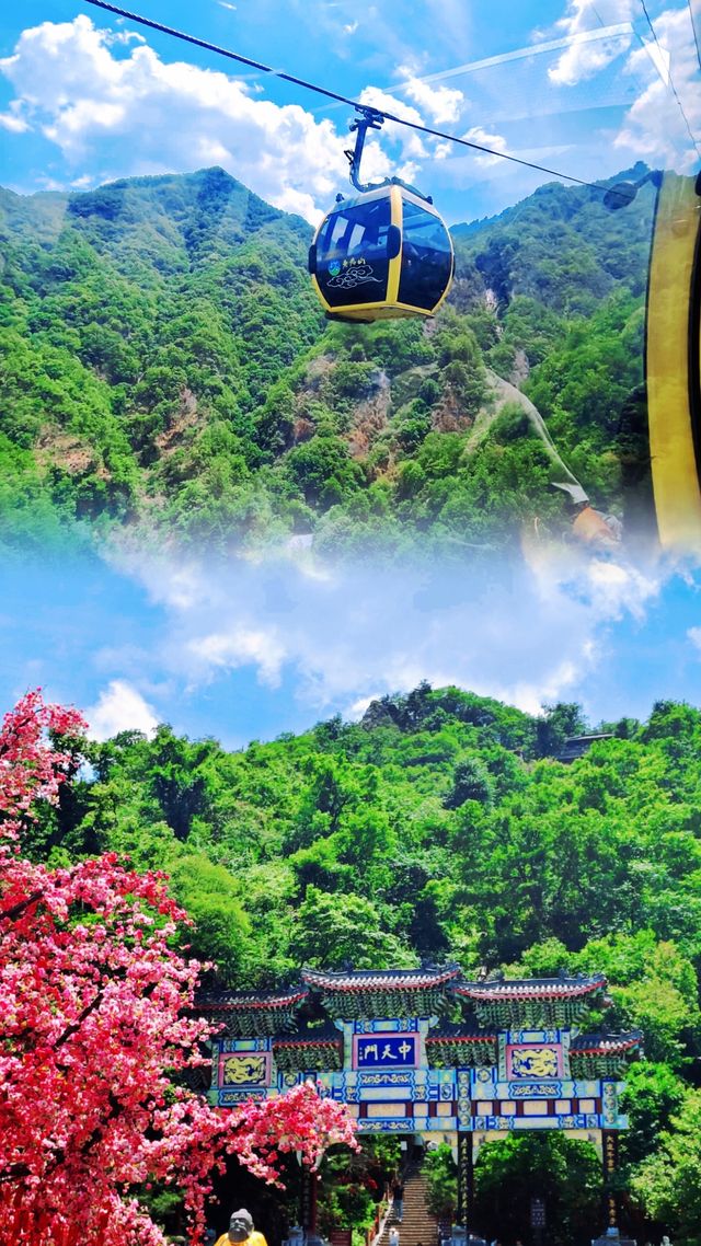 雲頂天宮，人間仙境——老君山，一場與仙境的邂逅