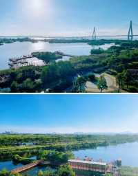 打卡橫琴，不能錯過的n個景點