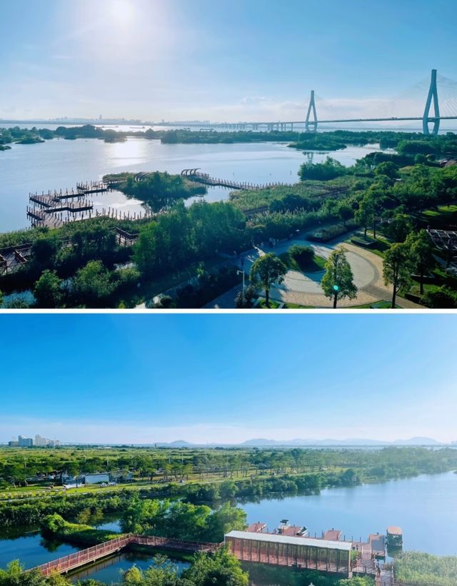 打卡橫琴，不能錯過的n個景點