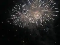 坦帕市獨立日慶典