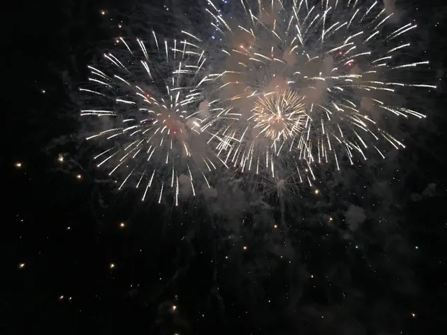 坦帕市獨立日慶典