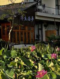 誤入荷花深處的仙境民宿 這家藏在普者黑景區的禪意民宿，讓我體驗了一把文人墨客的詩意生活～  民宿