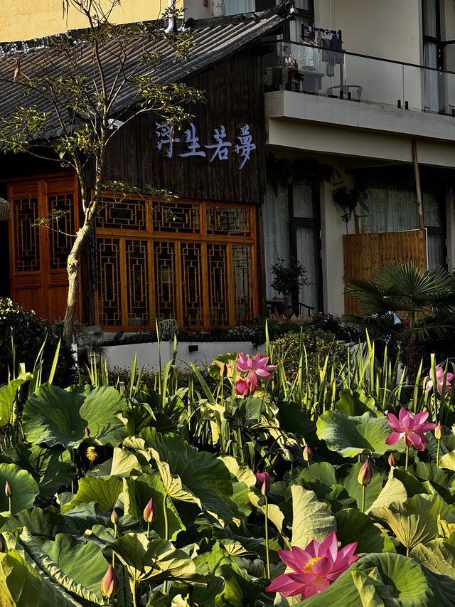 誤入荷花深處的仙境民宿 這家藏在普者黑景區的禪意民宿，讓我體驗了一把文人墨客的詩意生活～  民宿