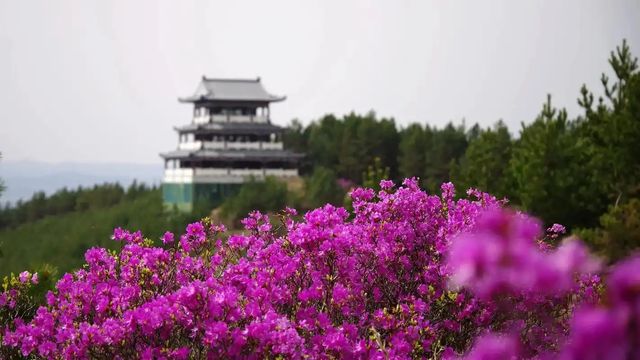 大家！搵到寶藏啦！綏化四方台民俗文化村真係好值得衝！呢度藏住最地道嘅東北風情，分分鐘影到超有氣氛嘅大