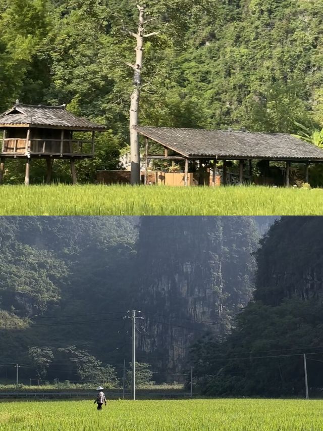 被低估嘅崇左！高鐵直達，呢個先係旅行嘅正確打開方式