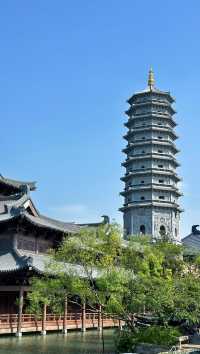 嘉興•濮陽仲有人未去過？