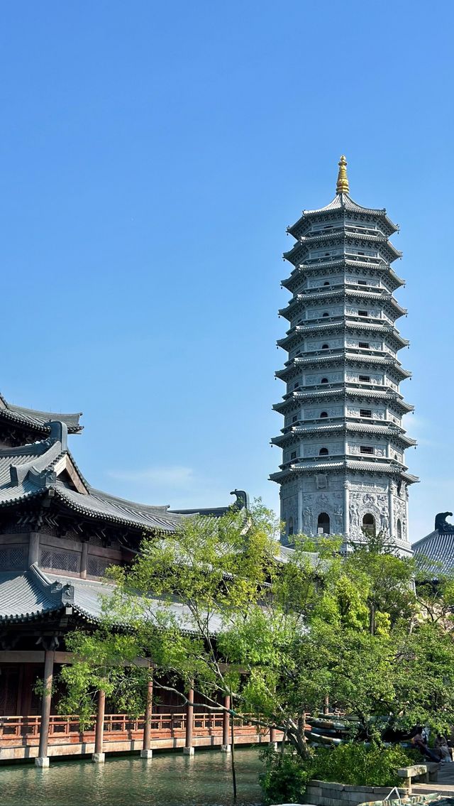 嘉興•濮陽仲有人未去過？