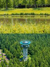 世界自然遺產鹽城黃海濕地落潮留痕沙洲如畫鹽城黃海濕地的
