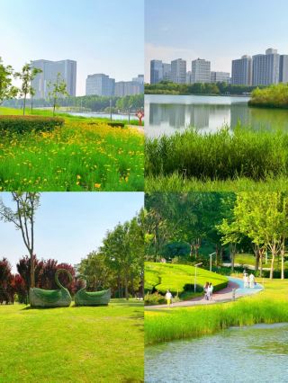 Bengbu | Visiting in the off-season during July and August is truly delightful, fewer people and beautiful scenery
