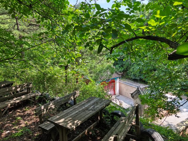 紅林村尋古——黃寶峪古廟遺址