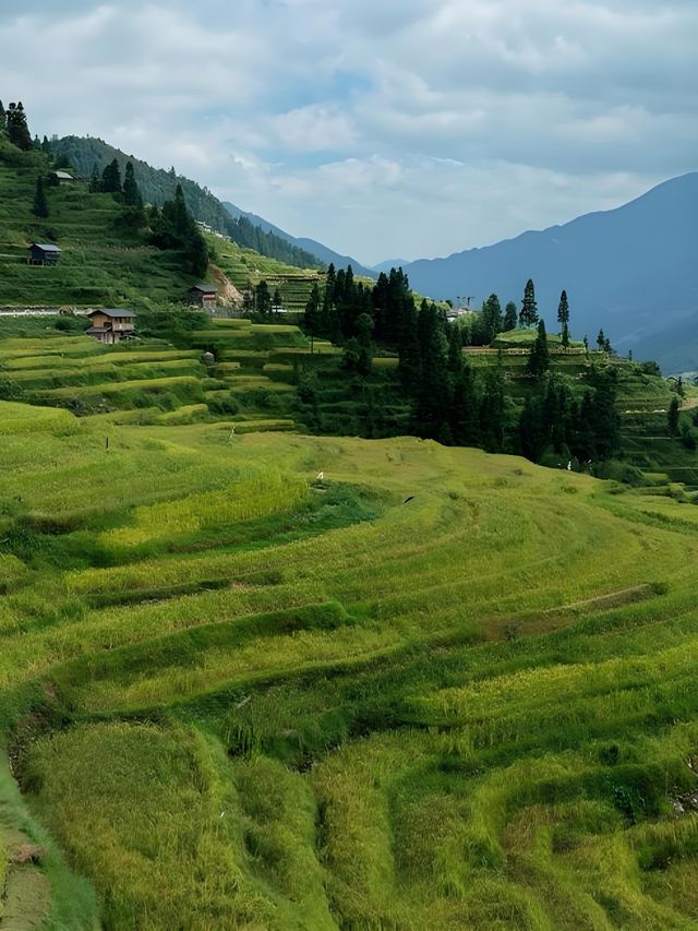 加榜梯田漫遊：在層層綠意裡拾光而行 
