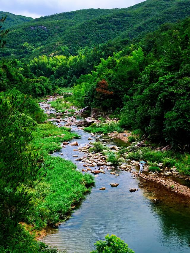 石樑溯溪—自然嘅野，野得自然