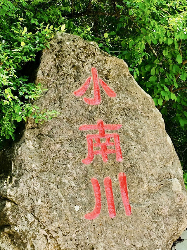雲嶺關山遠，走過一程風雪與堅韌