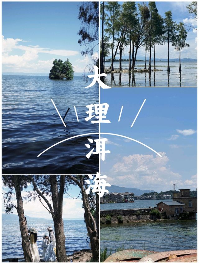 國慶🎈雲南8天7晚保姆級自由行遊玩攻略