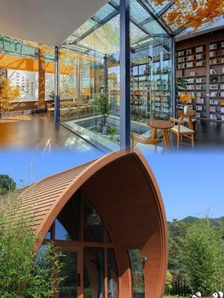 수상 경력이 화려한 장시의 보물!