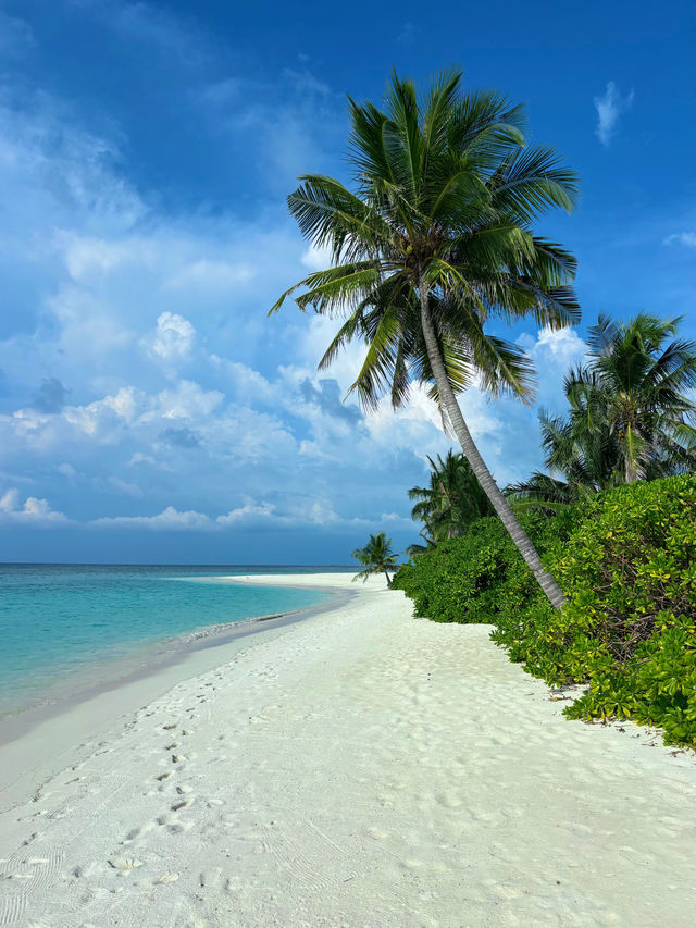 Island Indulgence: The Best of Both Worlds