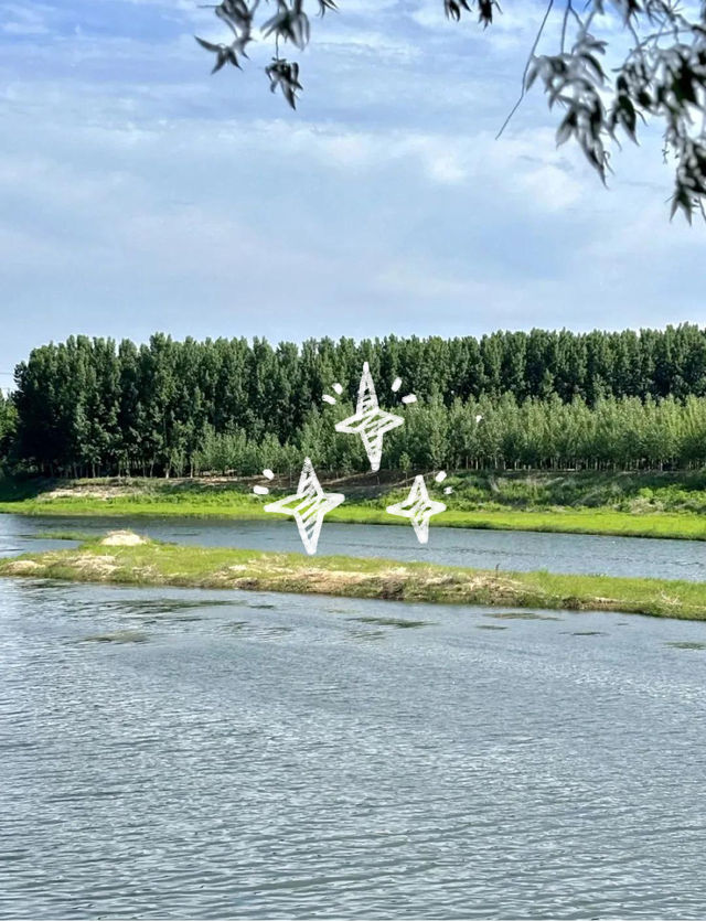 萊陽森北營地|超大植物園+親子研學,週末遛娃新去處 萊陽森北營地|超大植物園+親子研學,週末遛娃新去處
