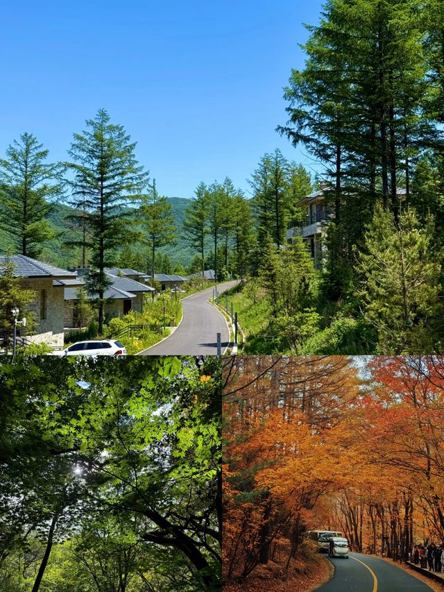關門山賞楓全攻略 秋天到了，和大橘一起去賞秋
