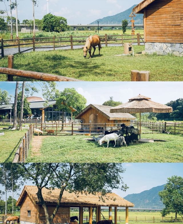 秋日清遠絕美濕地 秋日清遠絕美濕地