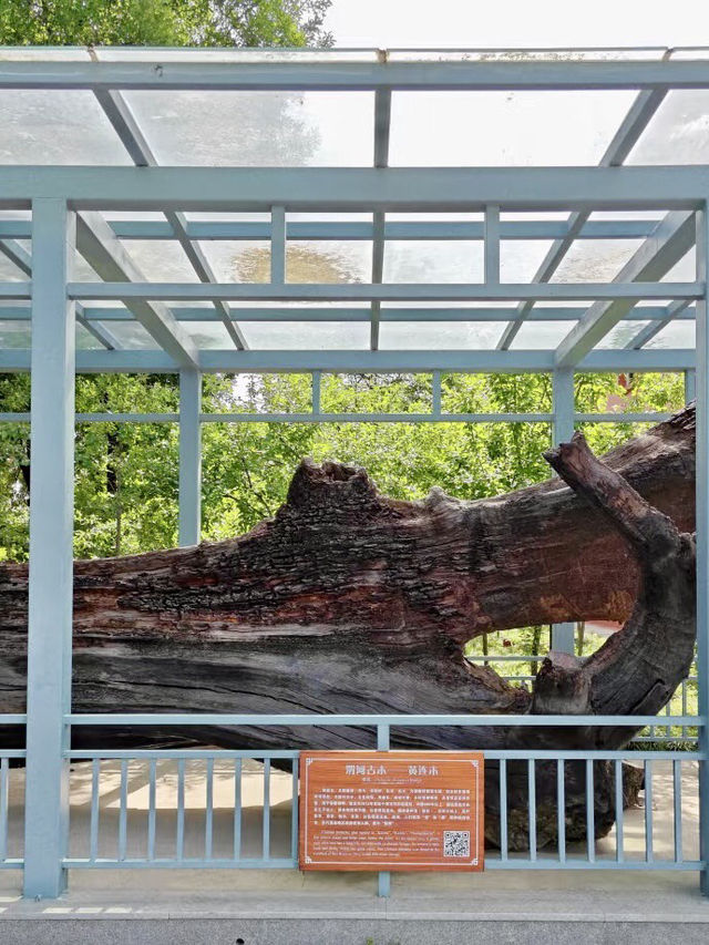 綠意生機：西北農林科技大學博覽園的知與美