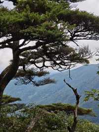 贵州梵净山一日遊——西上東下全程徒步路線