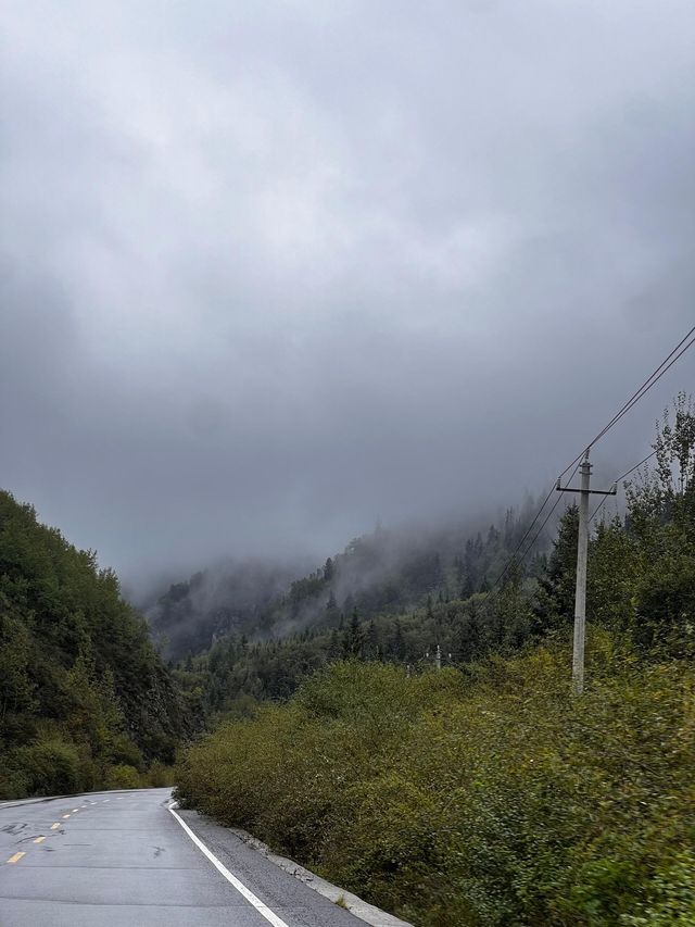您需要知道的五天四晚甘南行程