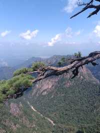 自然奇觀等你探尋---黃山