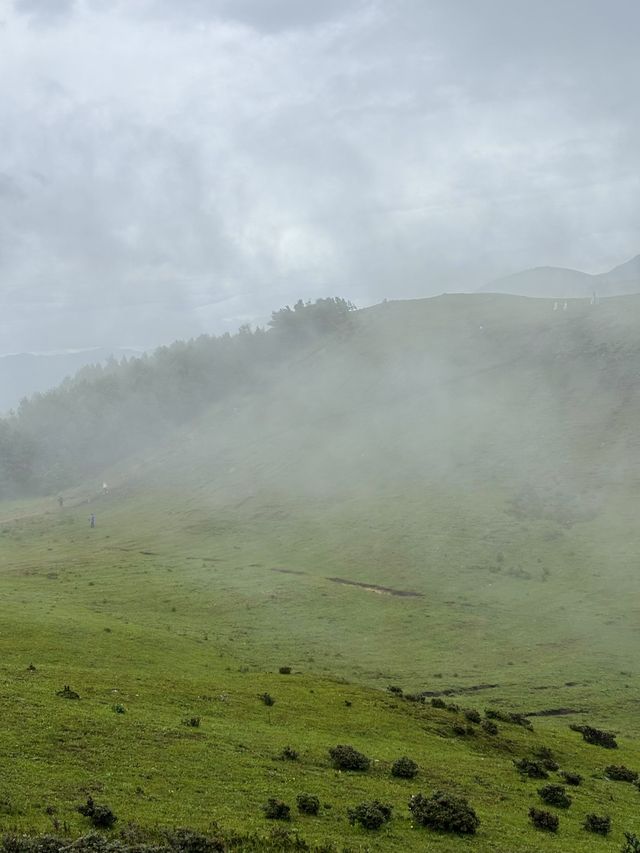 洱源高山露營絕美地