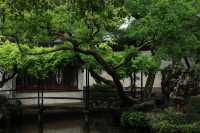 週末不買門票，去同里古鎮耍一圈，你敢信？