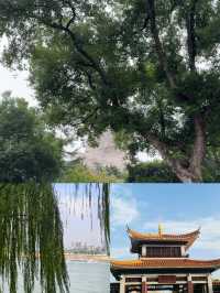 長沙橘子洲遊玩全攻略：與毛爺爺合影+避開人潮的沉浸式體驗