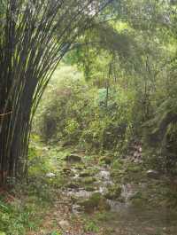 與閨蜜共赴熊貓谷，解鎖國寶奇遇，開啟一場浪漫旅行