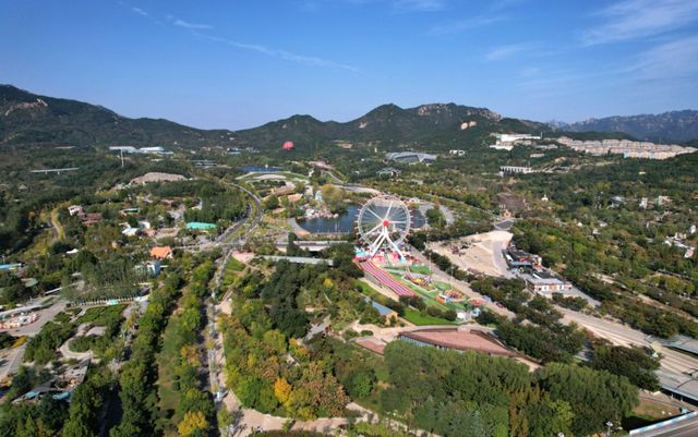 青島世博園秋日限定美景，銀杏粉黛浪漫來襲