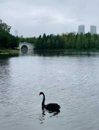 上海世博文化公園遊記
