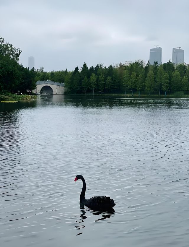 上海世博文化公園遊記