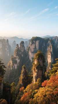 金秋張家界4天3晚，深度慢遊峰林仙境！旅遊攻略！