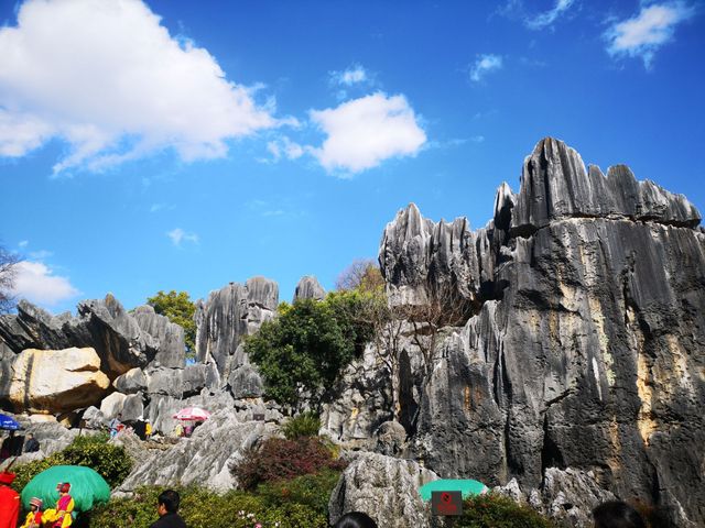 昆明4天3晚深度遊攻略 | 雙人5000元預算  行程亮點：經典景點全覆蓋+本地人私藏美食+高性價比