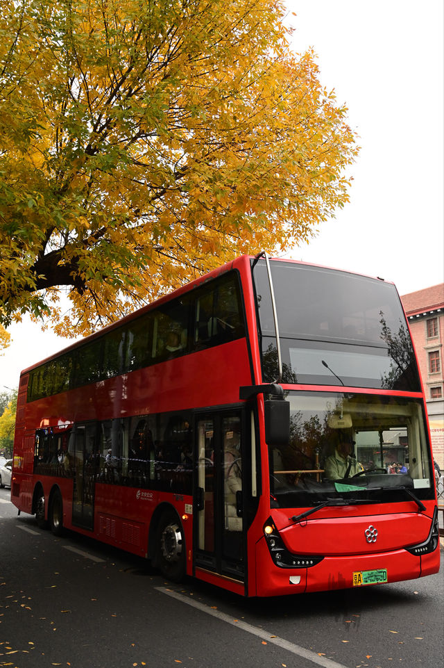 五四大街的黃與紅 五四大街的黃與紅