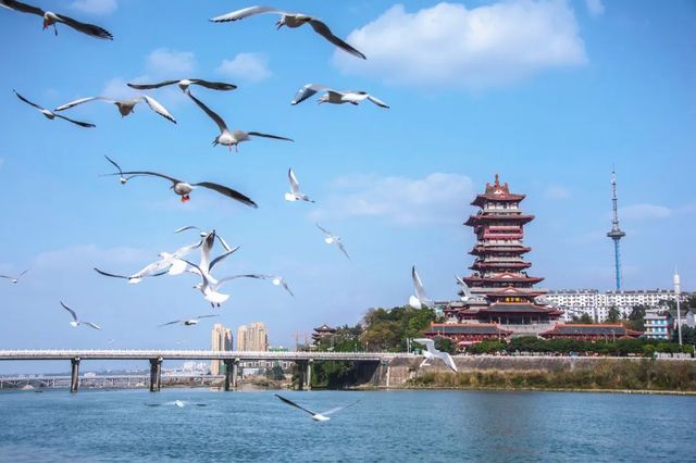 一座「科技+文化+自然」的魅力之城,帶你玩盡不一樣的川蜀寶藏! 一座「科技+文化+自然」的魅力之城,帶你玩盡不一樣的川蜀寶藏!
