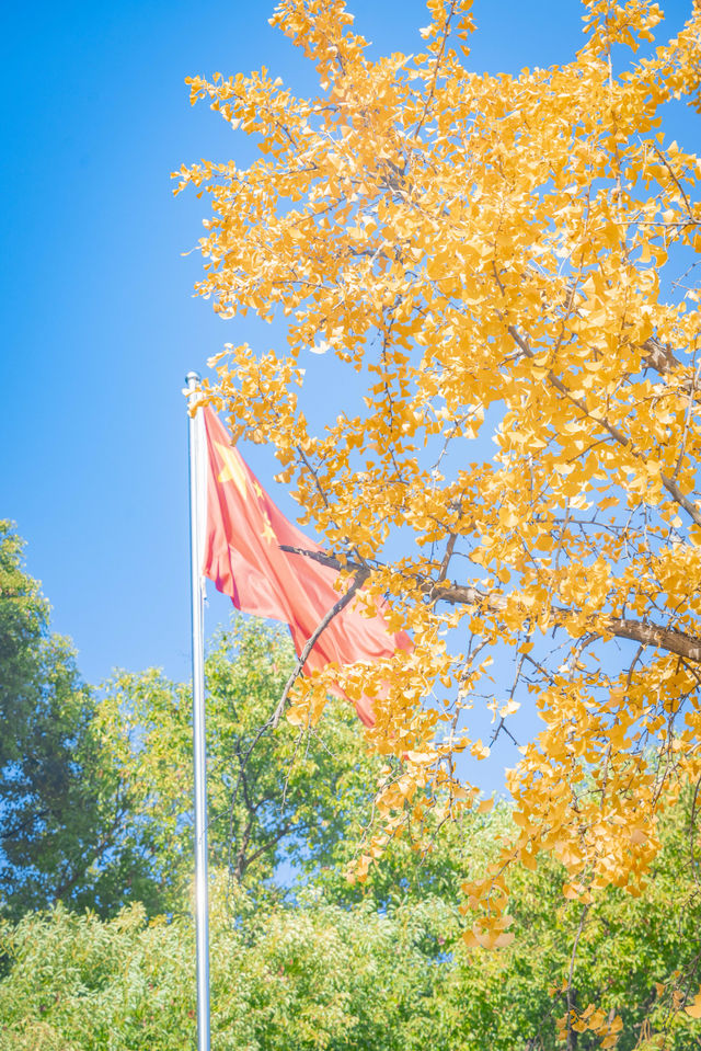 蘇州寺廟的秋天,感受秋天的神秘秘境 蘇州寺廟的秋天,感受秋天的神秘秘境