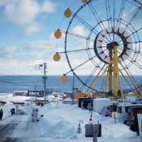 🐧오타루 수족관에서 펭귄과 눈꽃을 만난 날