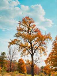 秋日仙境｜藏在雲平山的絕美調色盤