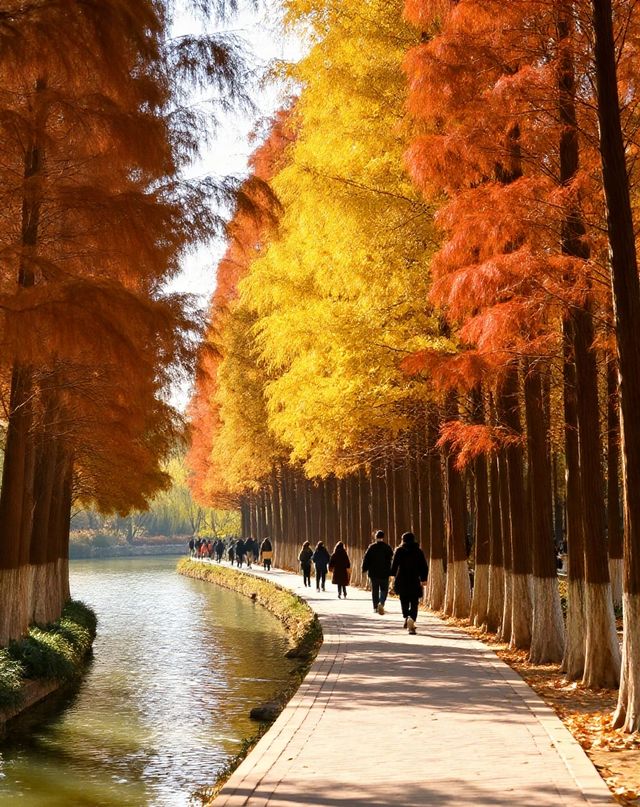 打卡唐風秋韻|邂逅城市邊的詩意與溫柔|收穫滿滿的治癒與快樂