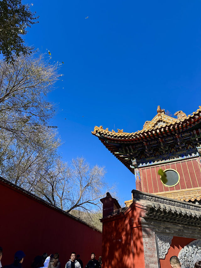 五臺山祈福全攻略|赴一場文殊之約,願六時吉祥 五臺山祈福全攻略|赴一場文殊之約,願六時吉祥