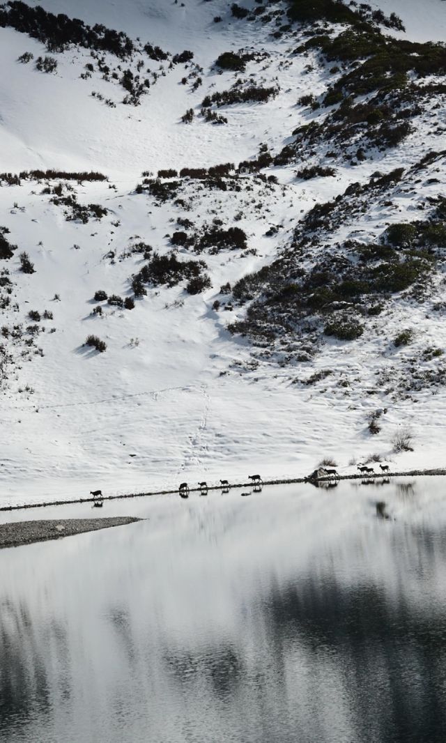 藏於岷山之巔的五星秘境