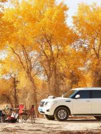 秋天必衝阿克蘇包車遊美到失語