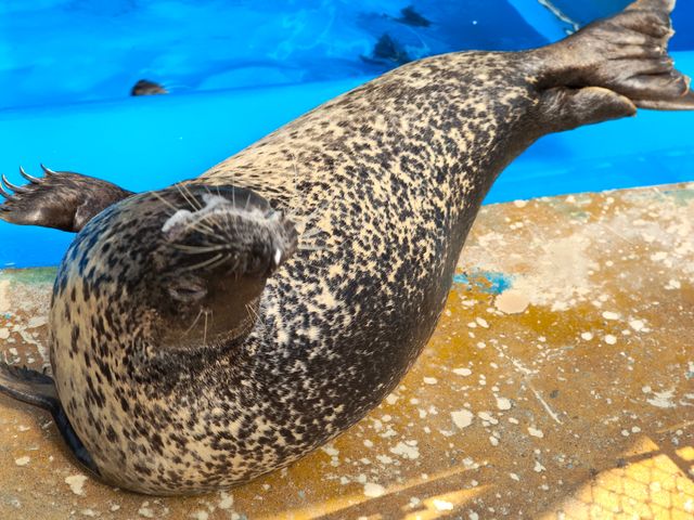 永泰歐樂堡福州版海洋王國 永泰歐樂堡福州版海洋王國