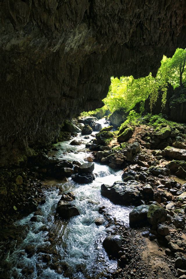 《喀斯特秘境：與遠古精靈的對話》